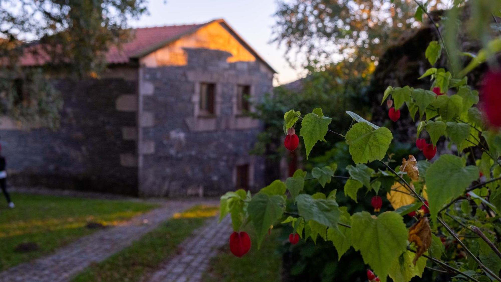 Casa Dos Do Carvalho - Miradouro Da Branda Βίλα Branda de Santo António Εξωτερικό φωτογραφία